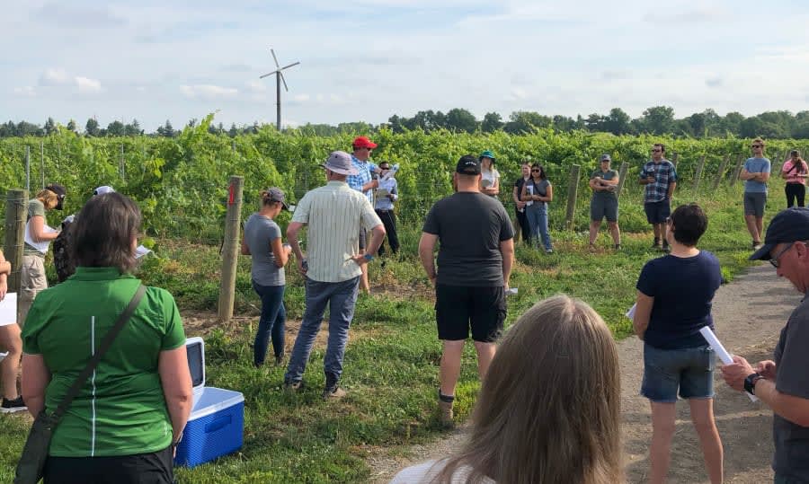 À propos du Réseau canadien de certification de la vigne