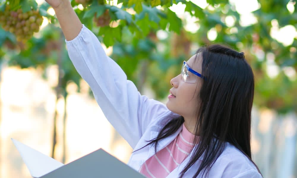 Recherche canadienne sur la santé de la vigne 